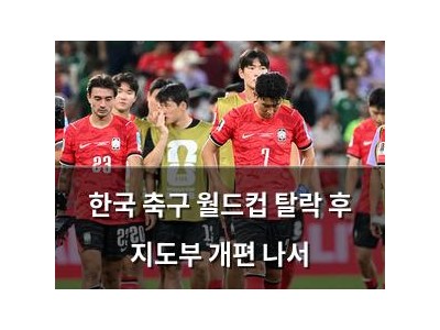 한국 축구 월드컵 탈락 후 지도부 개편 나서