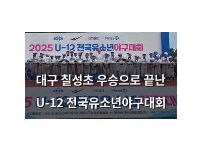 대구 칠성초 우승으로 끝난 U-12 전국유소년야구대회