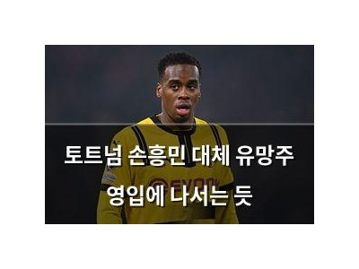 토트넘 손흥민 대체 유망주 영입에 나서는 듯