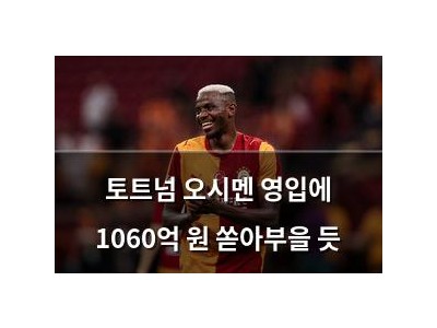 토트넘 오시멘 영입에 1060억 원 쏟아부을 듯