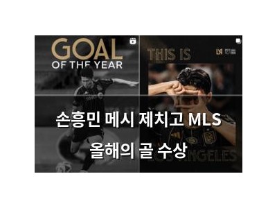 손흥민 메시 제치고 MLS 올해의 골 수상