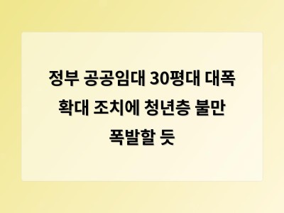 정부 공공임대 30평대 대폭 확대 조치에 청년층 불만 폭발할 듯
