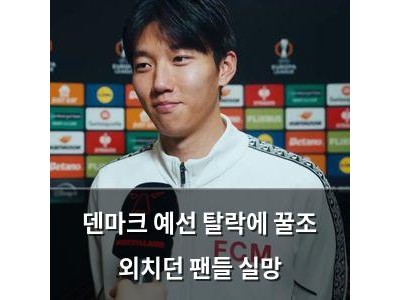 덴마크 예선 탈락에 꿀조 외치던 팬들 실망